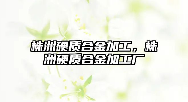 株洲硬質合金加工，株洲硬質合金加工廠