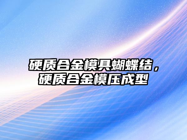 硬質合金模具蝴蝶結，硬質合金模壓成型