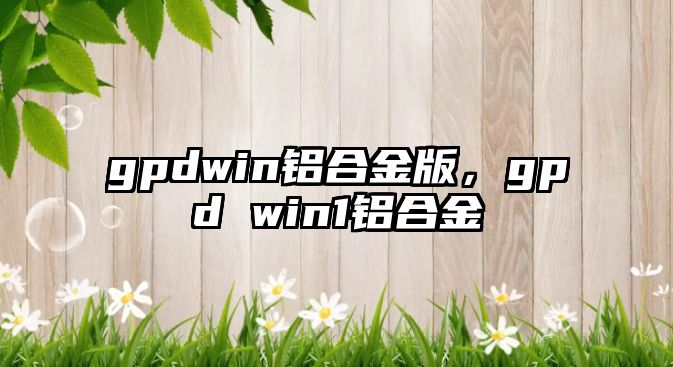 gpdwin鋁合金版，gpd win1鋁合金