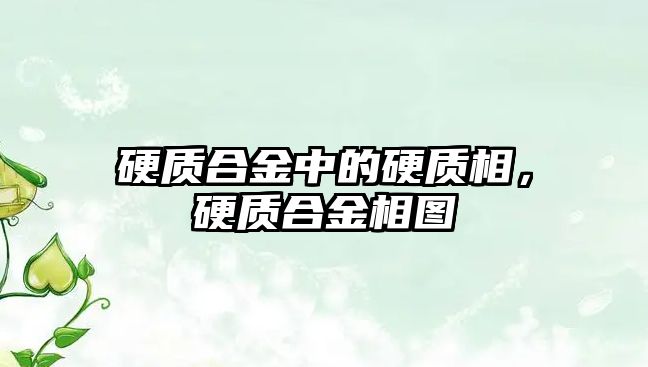 硬質合金中的硬質相，硬質合金相圖